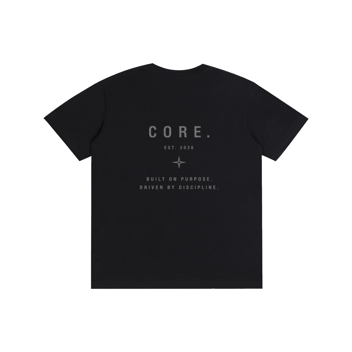 CORE Pure Cotton Unisex T-Shirt