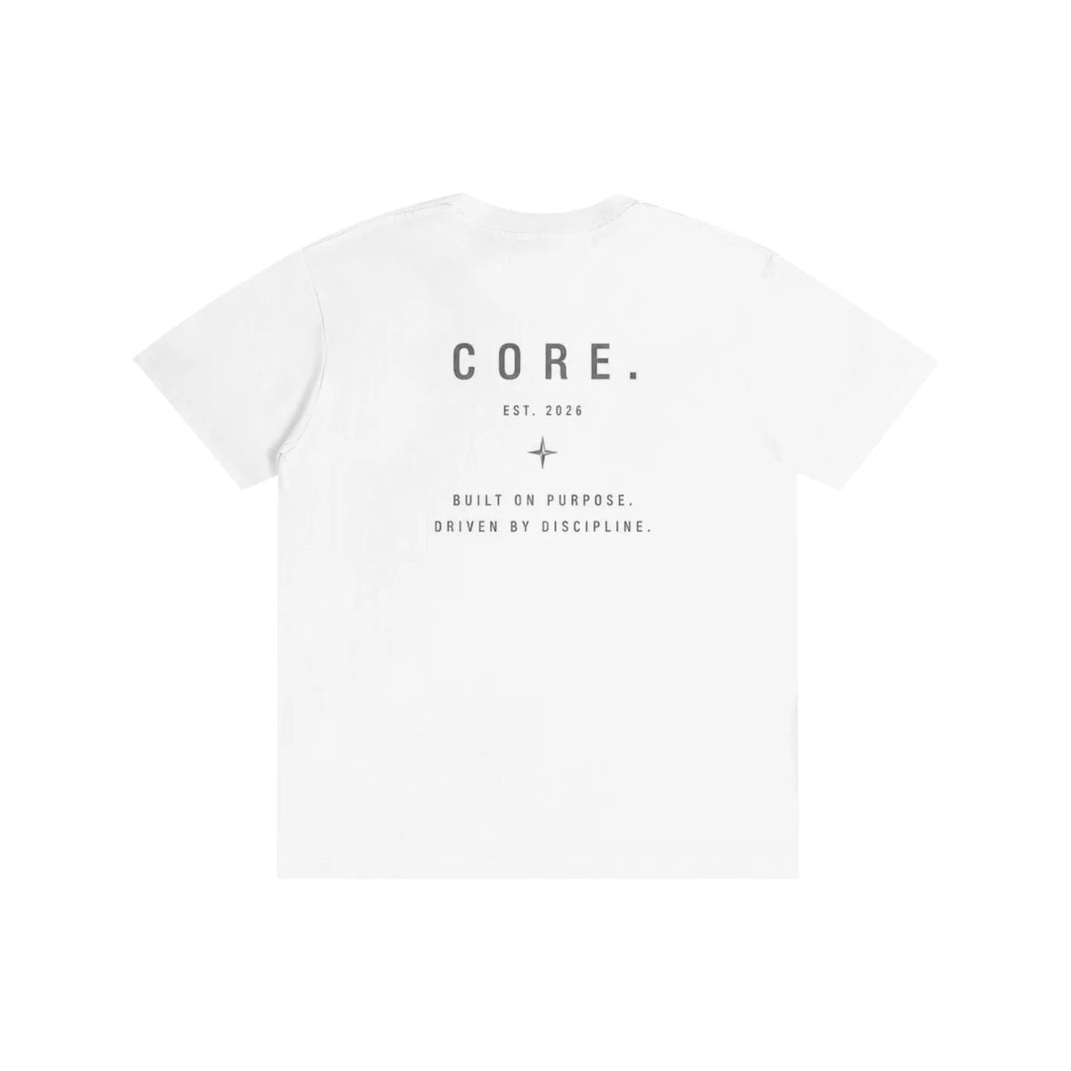 CORE Pure Cotton Unisex T-Shirt